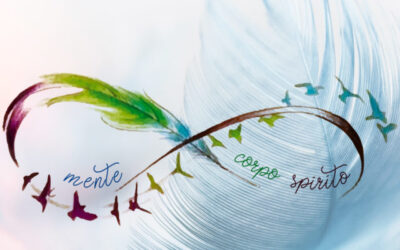 Partita la collaborazione fattiva con il centro Get Well Spine Center Rovereto (TN)